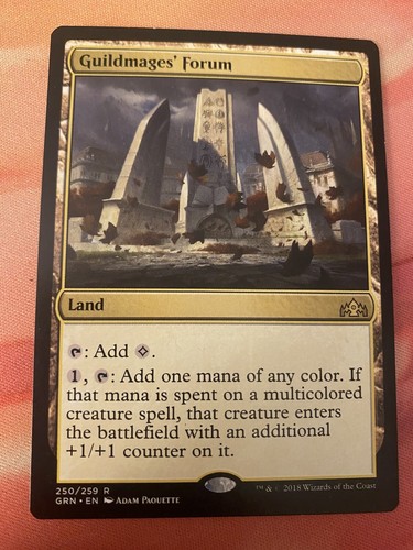 Guildmages' Forum 1x FOIL GRN MTG Guilds of Ravnica Rare MINT land Guildmages' Forum 1x FOIL GRN MTG Guilds of Ravnica Rare MINT land
