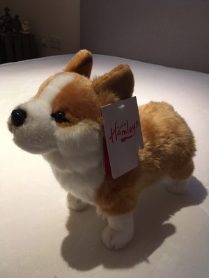 corgi webkinz