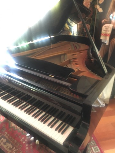 7’ grand piano. Young Chang