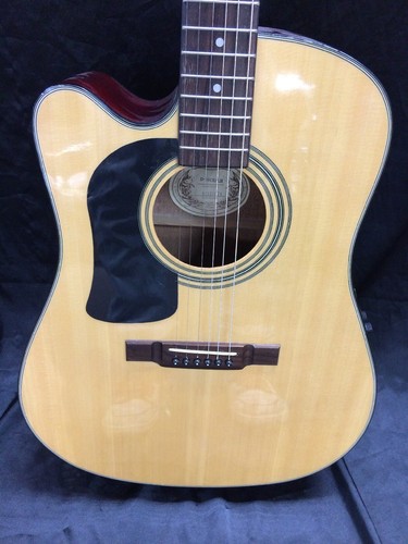 Washburn D10 SCE  Acoustic Electric LEFT HANDED Guitar  No Reserve