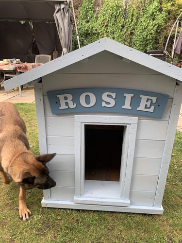 Artikelfoto(s) von einem verifizierten Käufer