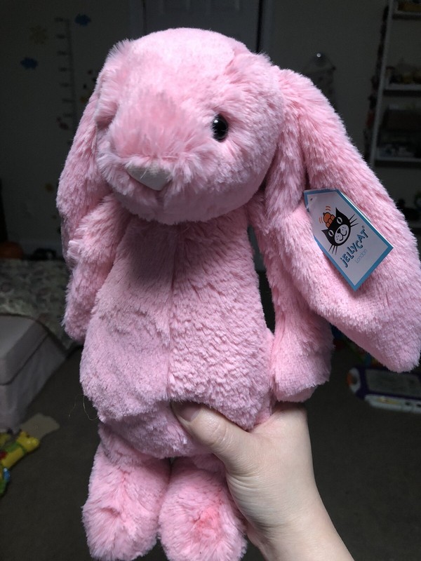 bashful sorbet bunny