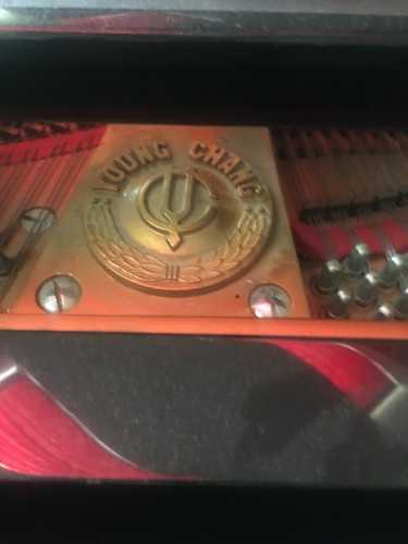 7’ grand piano. Young Chang