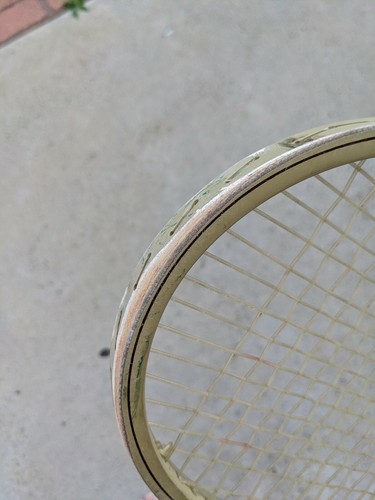 Vintage Snauwaert Fibre Composite Two, older Grip, strung,  cover