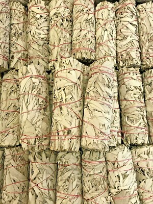 6  Long  x 1.75  Wide  California White Sage Smudge Stick  20 Pack Free Shipping