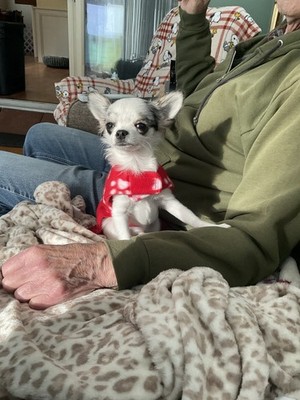 Artikelfoto(s) von einem verifizierten Käufer