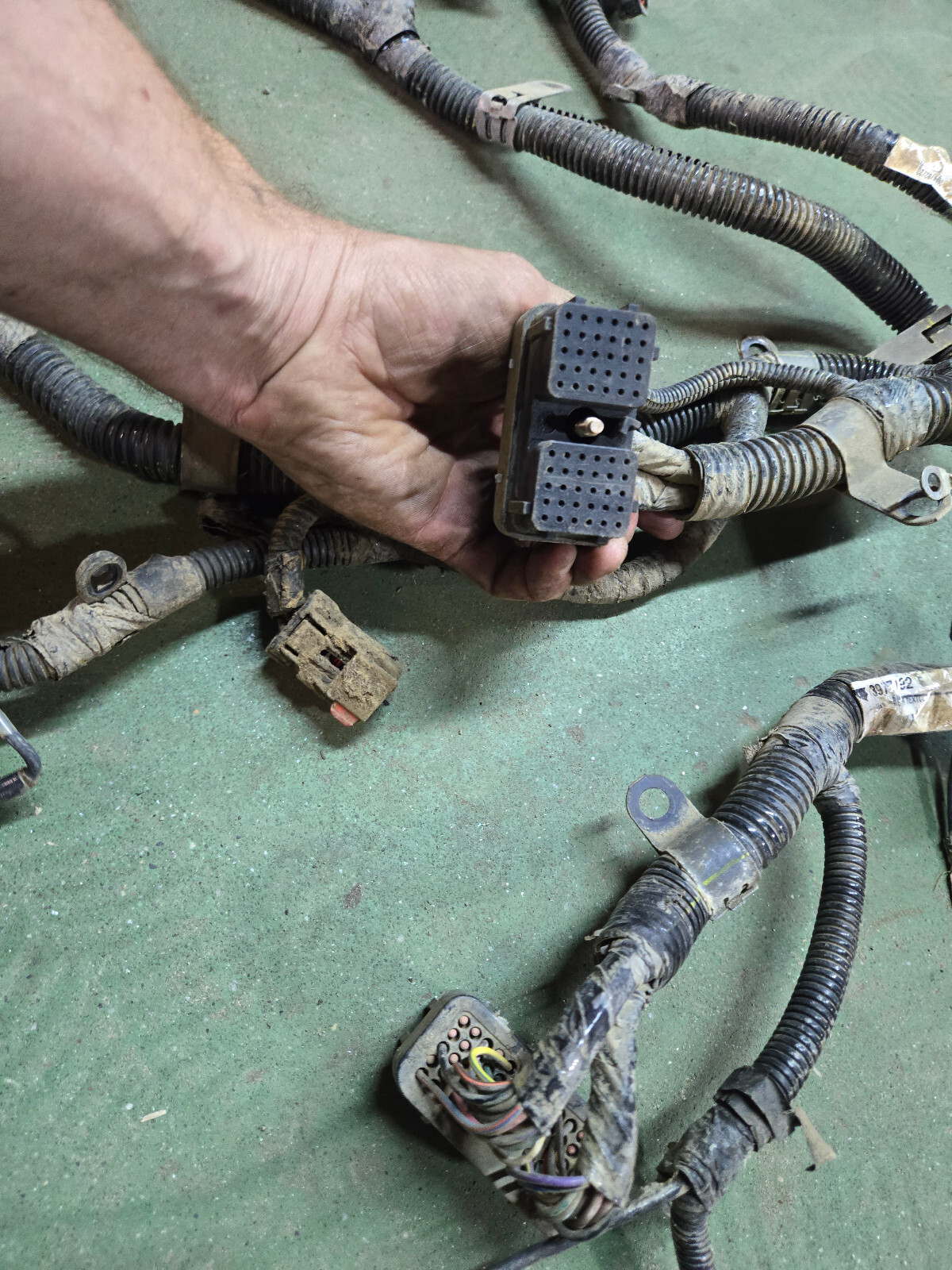 3977192 CUMMINS ENGINE HARNESS - Picture 10 of 12