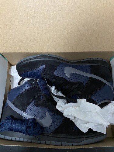 Nike SB Dunk High Gino Iannucci 9.5 | eBay