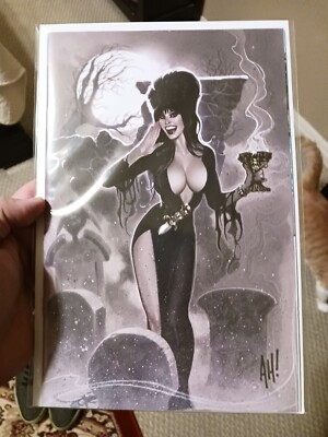 Elvira Meets HP Lovecraft #1 Adam Hughes variant NM 