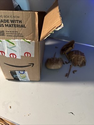 Artikelfoto(s) von einem verifizierten Käufer