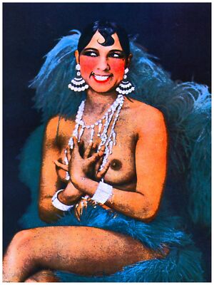 2746.Decorative Poster.Home room interior design wall art.Josephine Baker dancer