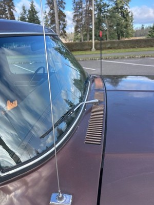 image 32 of exterior