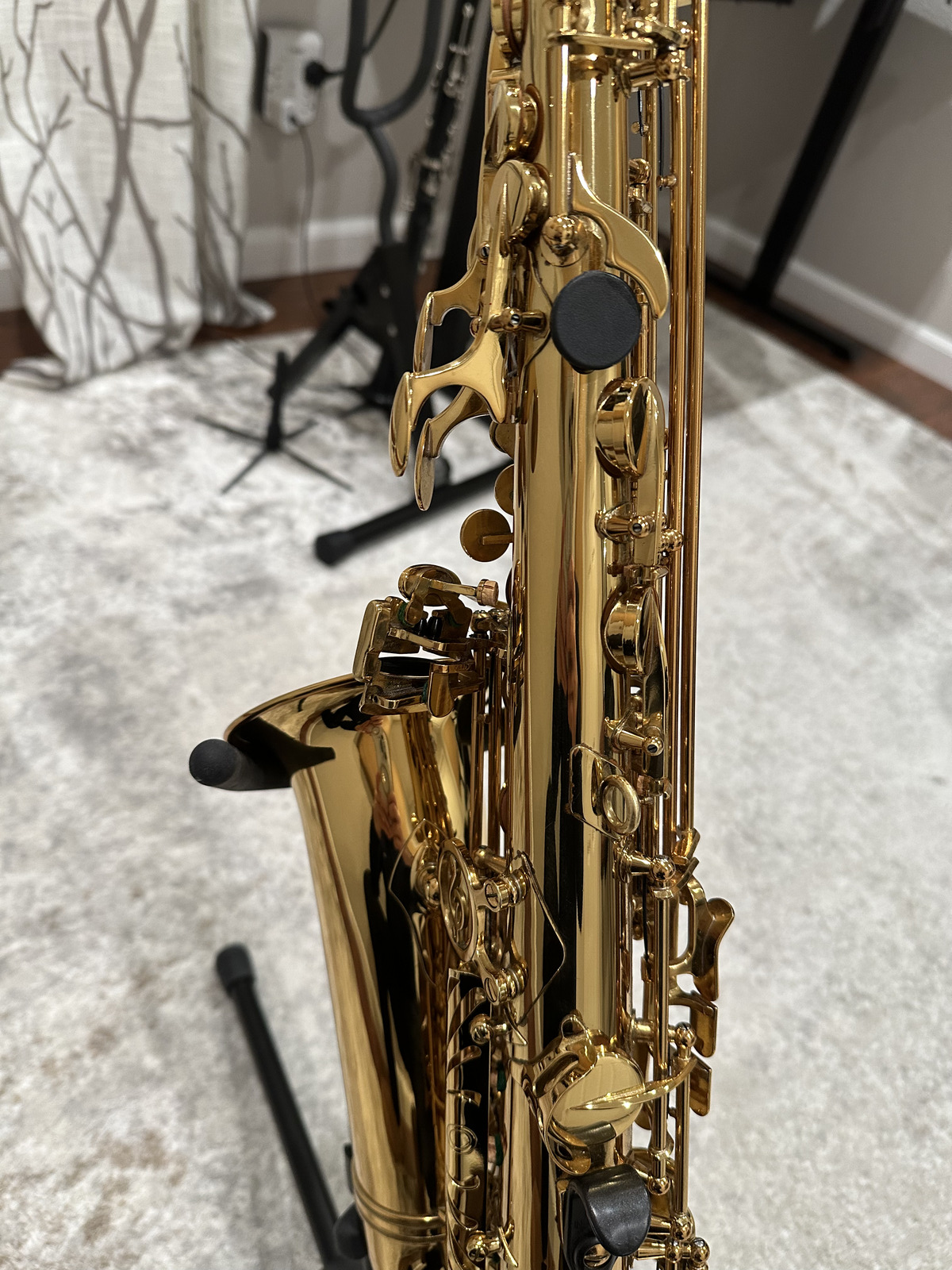 P. Mauriat PMSA - 57 GC Alto Saxophone