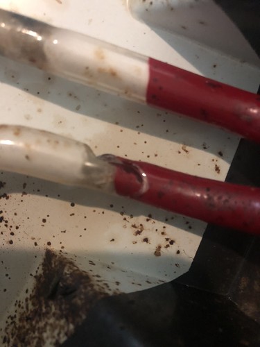 Fotos del artículo de un comprador verificado