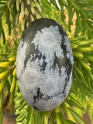 Snowflake Obsidian 25.3 Ct Oval Cabochon Natural Gemstone Hand Crafted E2-045