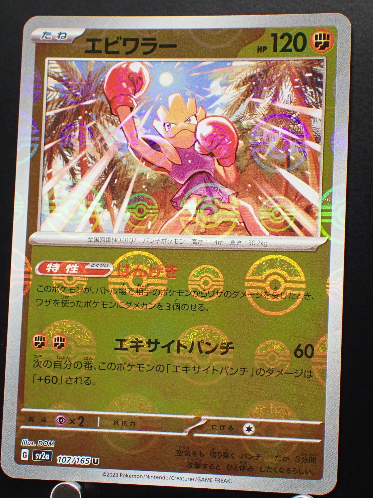 Mahalo1227です✨ $_57.JPG?set_id=880000500F