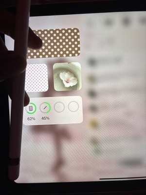 Fotos del artículo de un comprador verificado