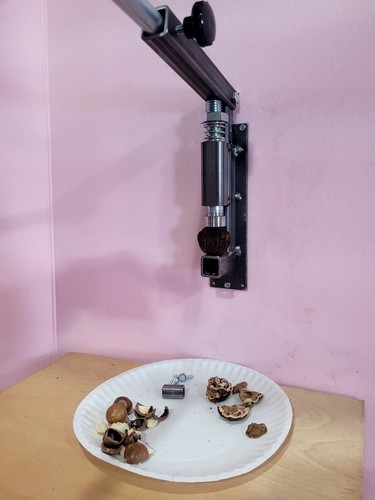 Black Walnut  Nut Cracker - Unpainted