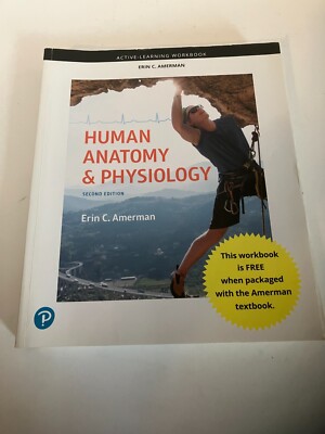 Active-Learning Workbook for Human Anatomy & Physiology by Amerman Erin C