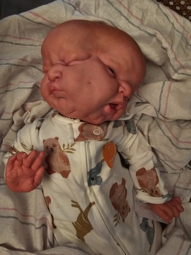 Artikelfoto(s) von einem verifizierten Käufer