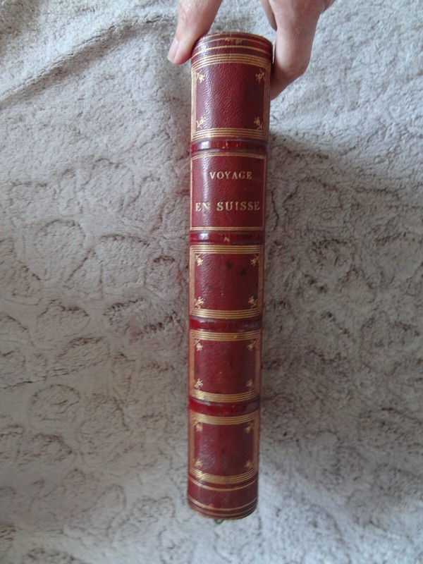 Theobald De Walsh Voyage En Suisse En Lombardie En PiÃ©Mont Vermot 1862  IllustrÃ©