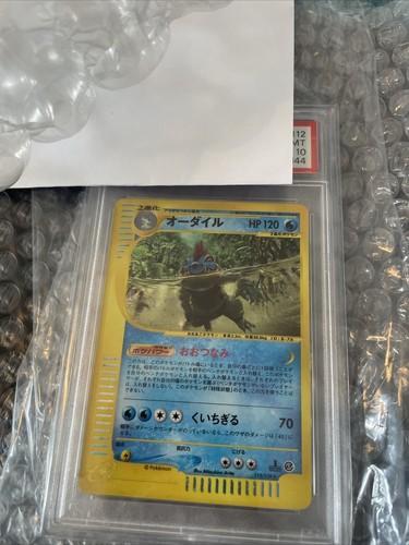 バンギラス　e＋ 国内7月13日先行/7月20日発売予定】ボタナイズ × バンズ エラ
