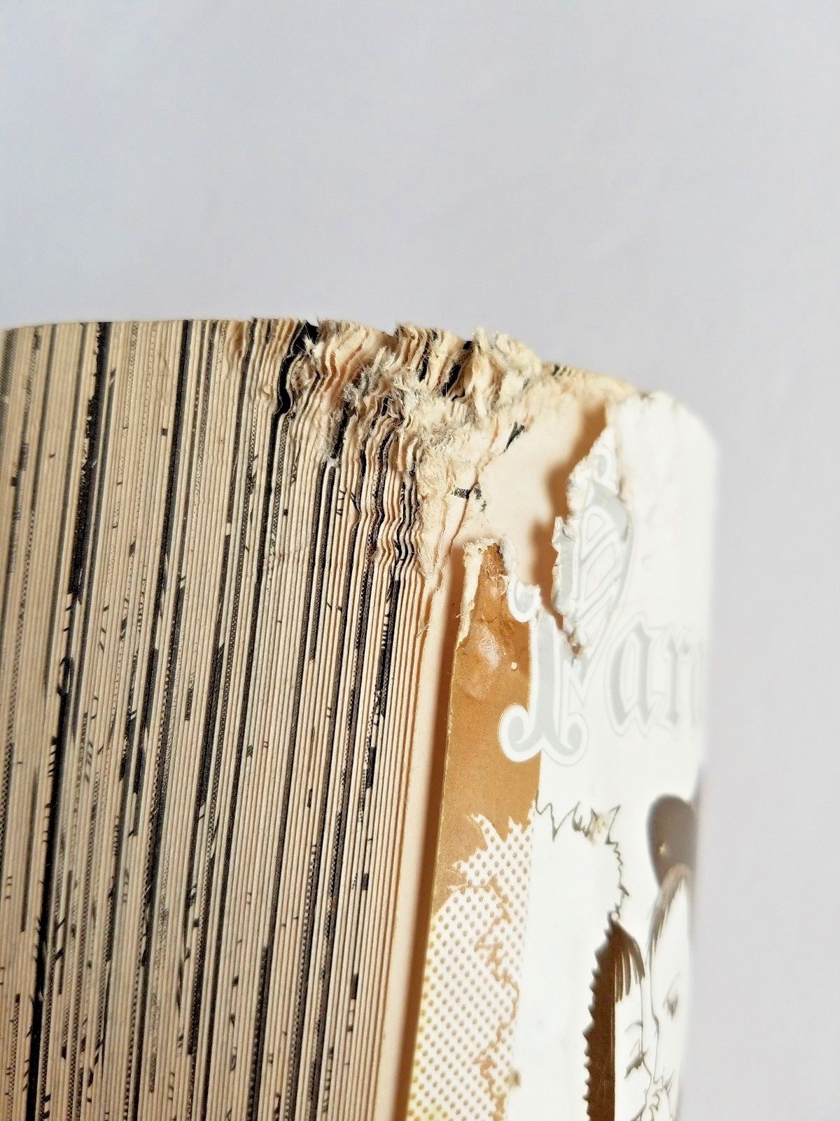 Paradise Kiss Manga Book Volume 2 by Ai Yazawa Tokyo Pop English