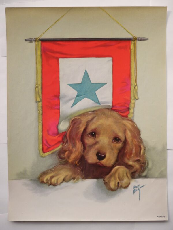 Roy Best, Brown & Bigelow VINTAGE litho print 10x7.5" WWII service flag spaniel