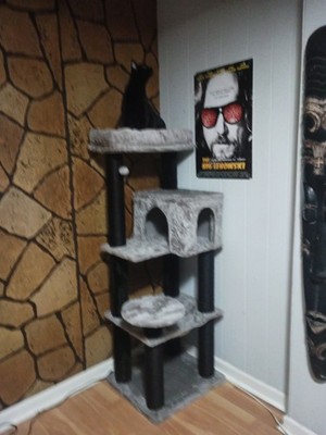 Fotos del artículo de un comprador verificado