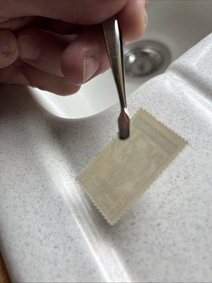 Photos de l'objet d'un acheteur vérifié