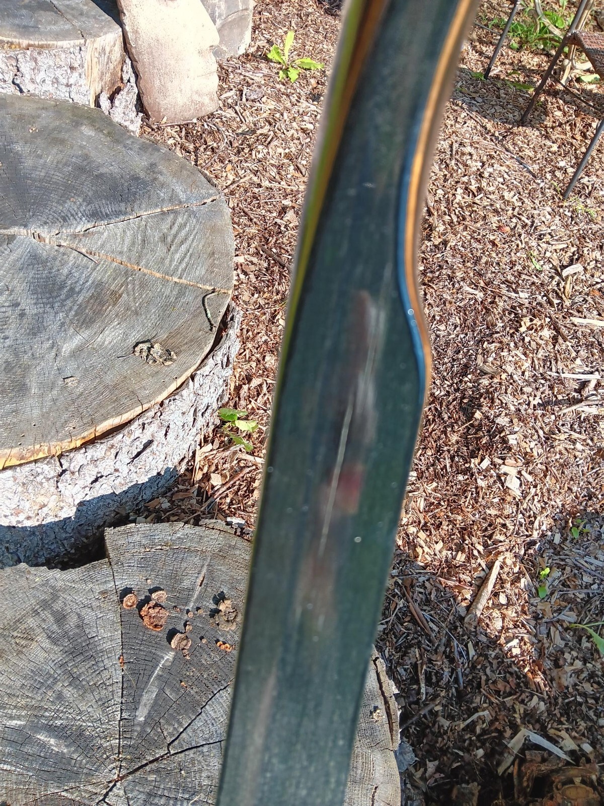 Vintage Bear Archery Super Kodiak recurve 1968 50#