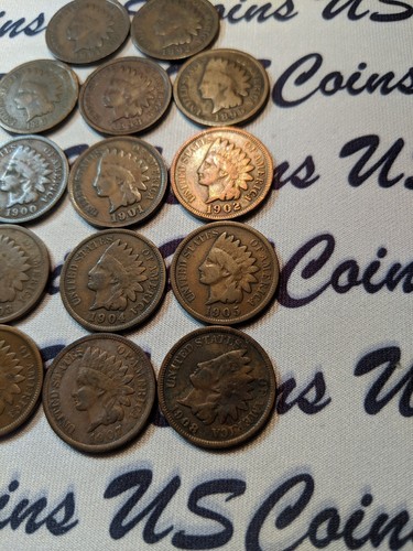 Indian head penny lot, 14 Coins, NO DUPLICATE DATES (12119-1)