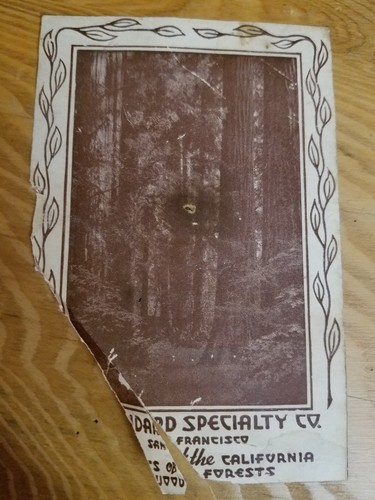 Vintage Large Wooden Nut Bowl With Matching Mallet