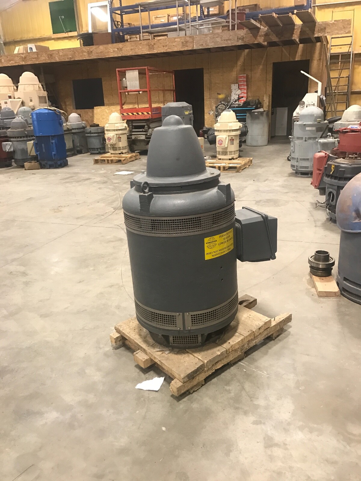 100hp WorldWide electric vertical hollow shaft motor