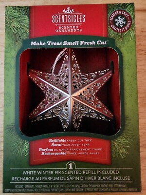 Scentsicles Silver Metal Star Indoor Ornament, White Winter Fir, 1 Star/1 Refill