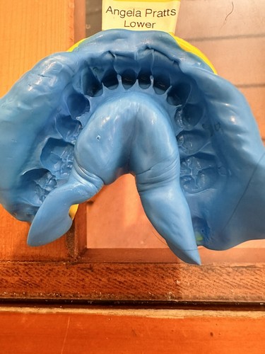 Artikelfoto(s) von einem verifizierten Käufer