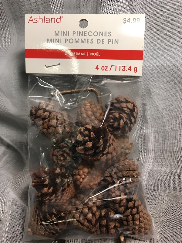Ashland MINI PINECONES Craft Decor Winter Fall Natural Rustic 