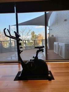 crane magnetic upright exercise bike