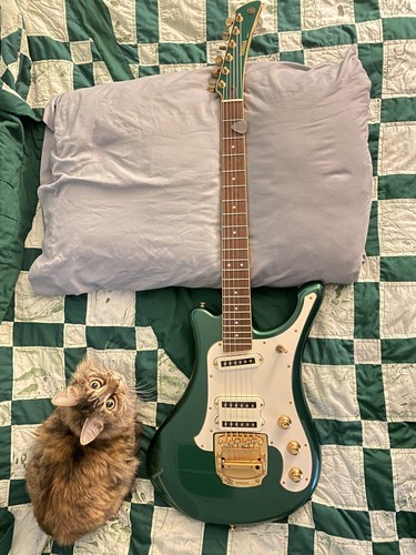 Greco 1981 TL500 Telecaster Super Real Period Used Electric Greco 1981 TL500 Telecaster Super Real Period Used Electric
