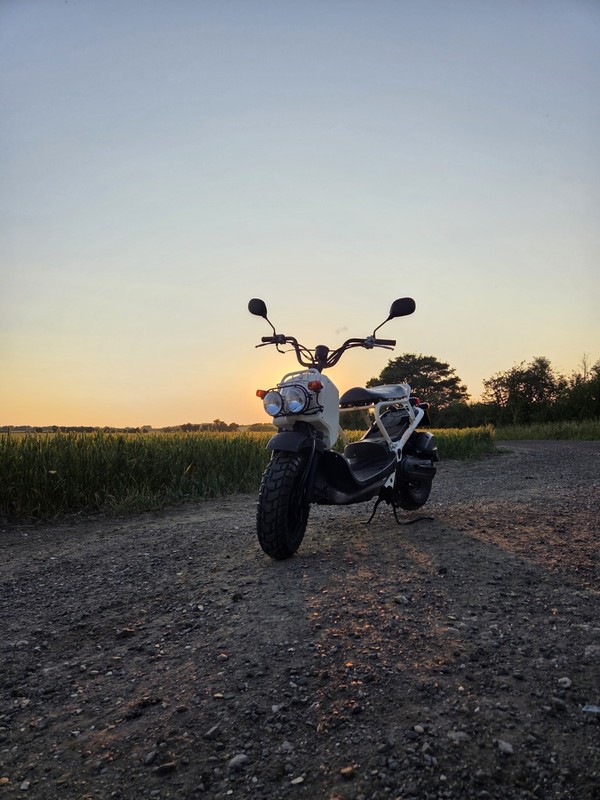 HONDA ZOOMER/RUCKUS 50CC 2002 [3450km]