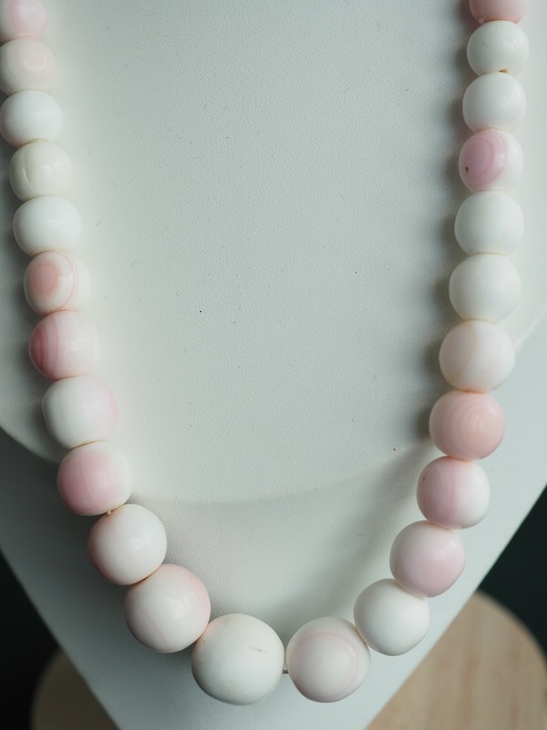 Collier Ancien Coquillage Sculpte Peau D'Ange Antique Carved Conch Necklace