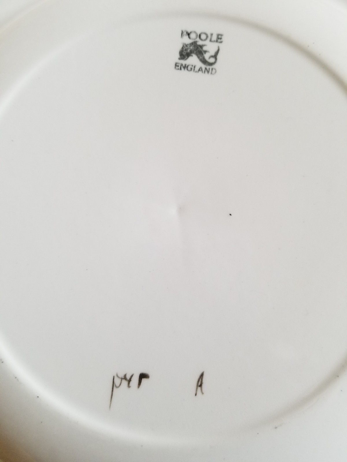 Poole England Dinner and Side plates