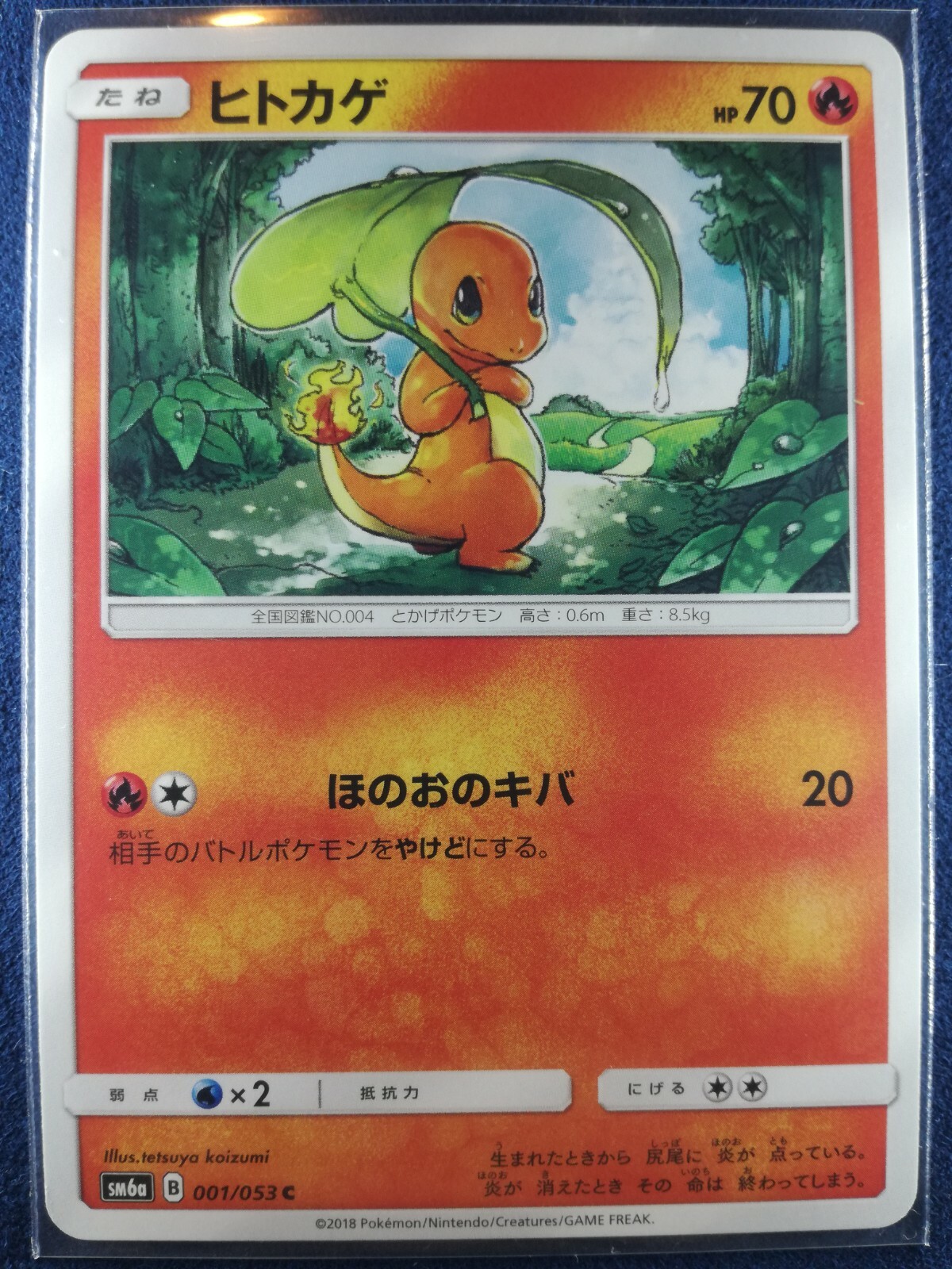 ヒトカゲ　海外版　3枚　セット　1st Edition Charmander Charmander 012/108 C pokemon cards Japanese NM | eBay