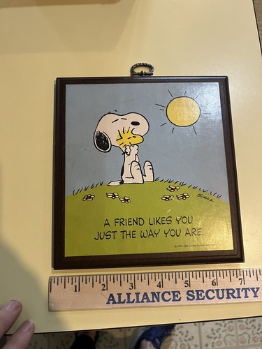 1965 Hallmark Peanuts Snoopy A Friend Likes You Just The Way