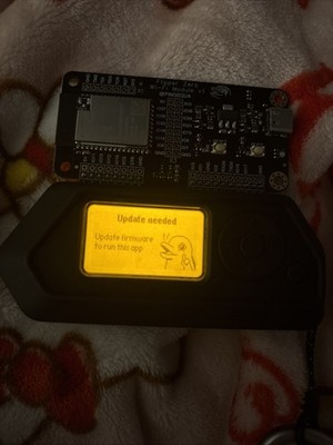 Foto dell'oggetto di un acquirente verificato