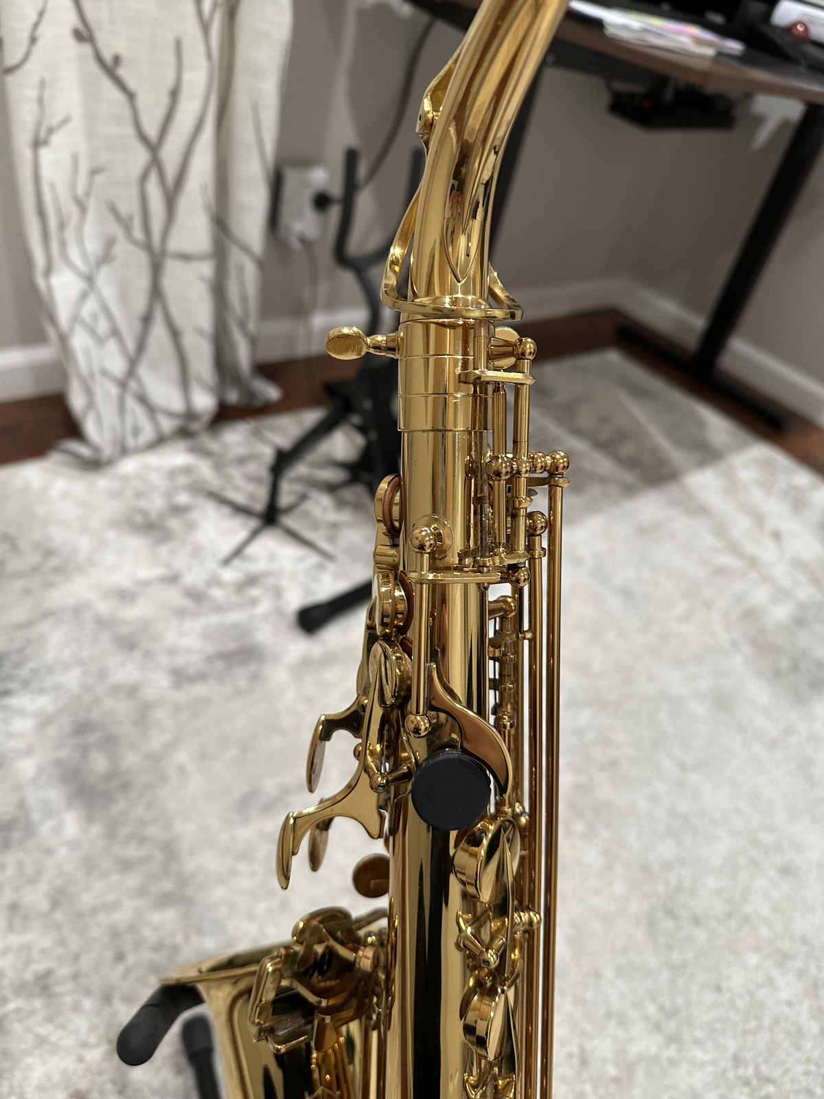P. Mauriat PMSA - 57 GC Alto Saxophone