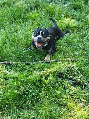 Artikelfoto(s) von einem verifizierten Käufer