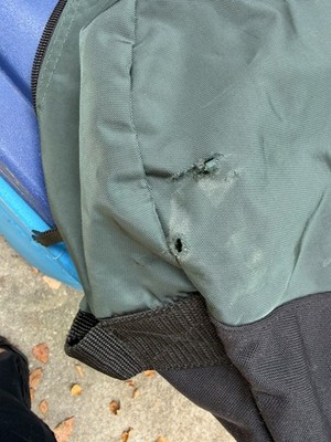 Artikelfoto(s) von einem verifizierten Käufer