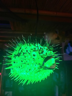 NEW 8/9  Puffer Fish Lamp w/green LED Tiki bar Smokin Tikis 2nd