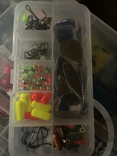 Fotos del artículo de un comprador verificado